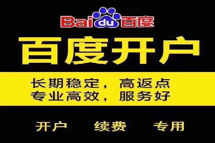 百度推广运营策略解析及成功案例分享